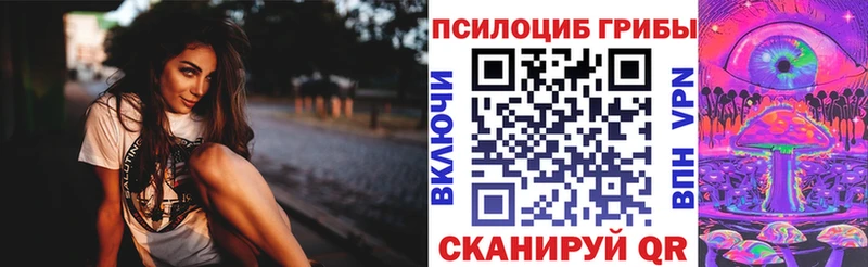 как найти наркотики  Находка  Галлюциногенные грибы Cubensis 